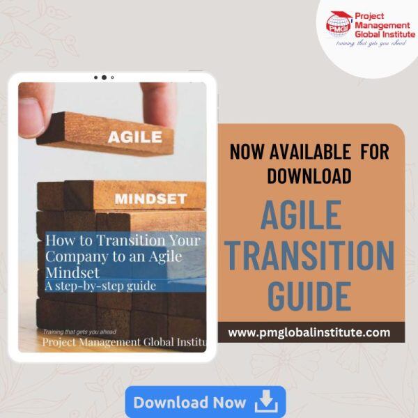 Download the agile transition ebook